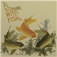 On Fillmore - Sleeps With Fishes